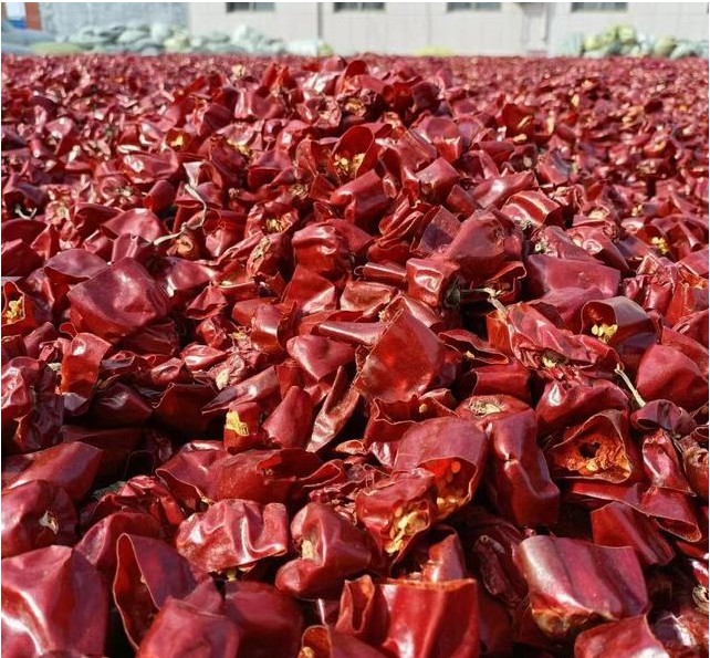 影响辣椒干燥质量的因素有哪些?